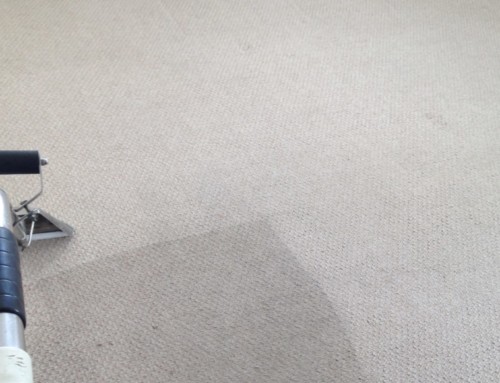 Carpet Cleaning